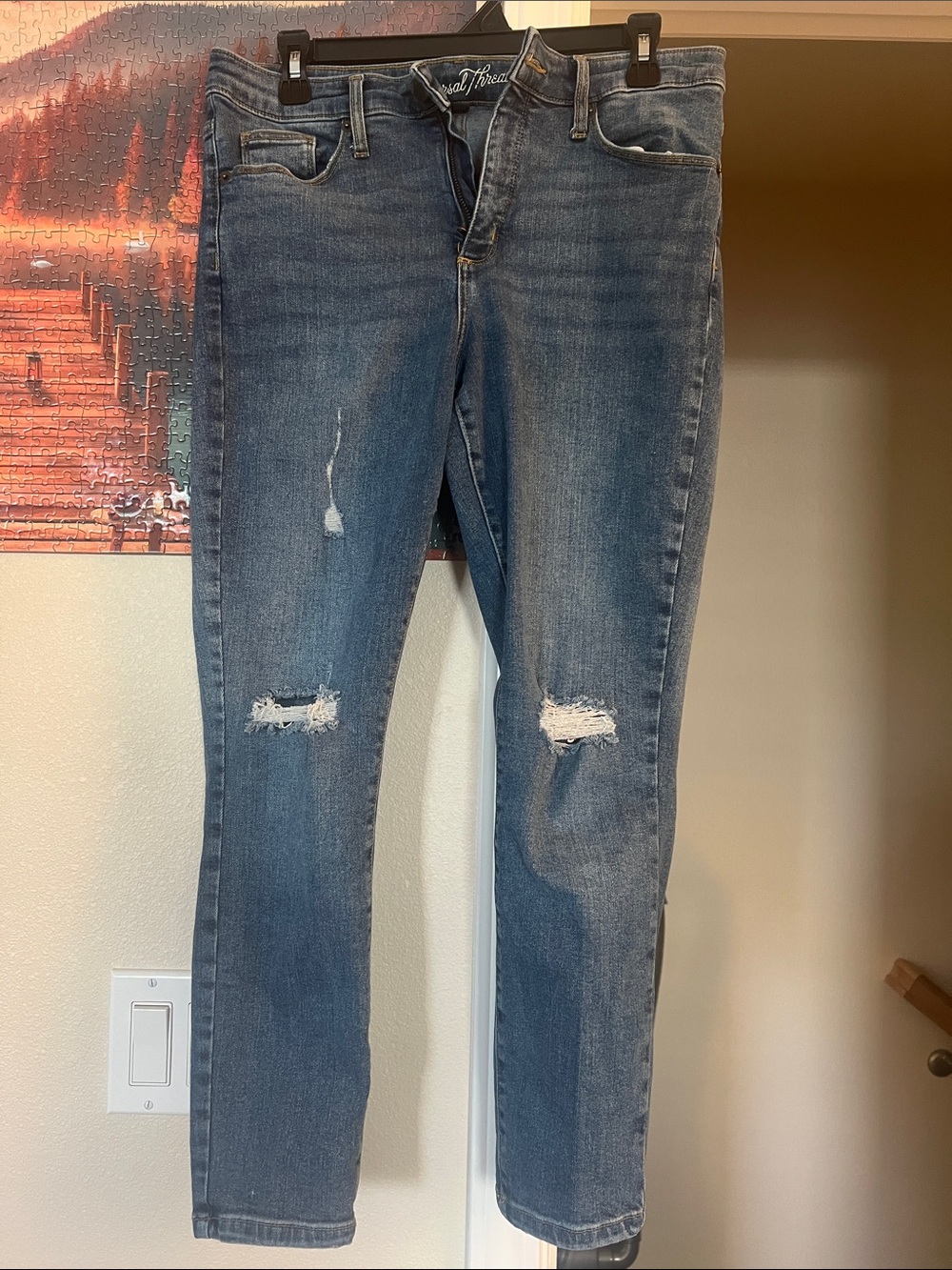 Universal Thread Women's Distressed Blue Skinny Jeans